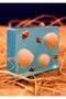 Oyster Mussel Decorative Transparent Bath Soap - Ocean Scented - 110 Grams - 3
