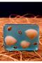 Oyster Mussel Decorative Transparent Bath Soap - Ocean Scented - 110 Grams - 6