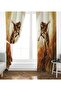 Violin Playing Lady Patterned Background Curtain (Single Wing Pricing) - 2