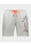 Swimsuit Swim Shorts - 5