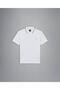 Men's Knitted Poloshirt C.wCotton T-shirt - 5