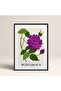 Framed Blossom Flowers Abstract Flowers Modern Art Painting