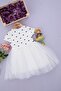 Daphne Ticaret Girl Polka Dot Tulle Half Sleeve Dress (2-3-4-5-6-7 YEARS) - 2
