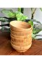 Caso Soup Bowl Set of 6 - 2