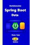 Derinlemesine Java Spring Boot Data