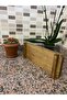 Multi-Purpose Presentation Holder, Flower Pot, Spice Rack Decorative Natural Wooden Tray, Multi-Purpose Stand - 2