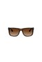 Rb4165 710/13 Unisex Sunglasses - 2