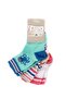 Colorful Baby Boy 3 Pack Socks Y4104