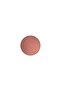 Eyeshadow - Refill Eyeshadow Antiqued 1.3 g 773602077762