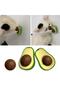1 Avocado Cat Mint - Catnip, Herb Ball and Toy - 6