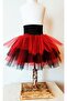 Lully Kids Girl's Red Lined Tulle Tutu Skirt April 23