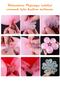 Special Day Daisy Macaron Balloon Chain Set - Macaron Balloon White Balloon Daisy Making Apparatus - 3