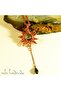 Aura Quartz Crystal Star Handmade Natural Stone Necklace - 2