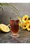 Pasabahce 6-Piece Tea Cup with Handle