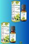 Ylang Ylang Uçucu Bitkisel Yağı 20ml