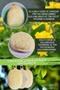 Bath Scrub Bath Loofah Scrub Pumpkin Washcloth Facial Scrub Body Scrub 1 Piece - 3