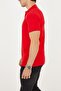 Men's Black Polo Neck 100% Cotton T-shirt Black-beige-white Dawrazz-23 - 6