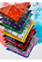 Ethnic Pattern Bandana Set of 12 Unisex - 6