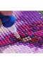 Hi Stone 5d Diamond Bead Stone Processing Mosaic Tapestry Kit 30x30cm Ms20360 - 2