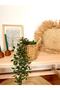 Wicker Knitted Multi-Purpose Small Basket/Flower Pot/Organizer with Handles