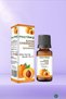 Apricot Seed Fixed Vegetable Oil 2*20 40 Ml - 3