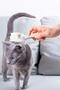 Cat Dog Automatic Cleaning Buttoned Hair Collector Comb Pet Feather Hair Collecting Brush - 4