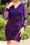 Sequin Velvet Dress Double Breasted Special Occasions Trend