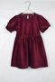 Baby Girl Balloon Sleeve Velvet Dress
