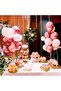 Balloon Stand 7-Piece Transparent Color Footed Balloon Stand - 3