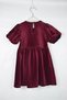 Baby Girl Balloon Sleeve Velvet Dress - 2