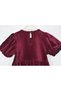 Baby Girl Balloon Sleeve Velvet Dress - 4