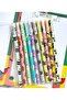 Sweetie Sweet Panda Designed 10 Different Color Gel Pens Set in a Special Box
