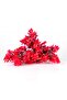 Artificial Daffodil Plant Red 40 Cm. Uv Protection - Outdoor Compatible - 3