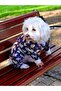 Space Adventure Dog Raincoat - 8