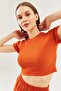 Brick Short Sleeve Crew Neck Fitted 100% Cotton Camisole Flexible Crop Blouse - 8