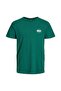 Men's NFL Licensed T-shirt- 12206625