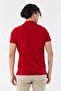 Men's Polo Collar T-Shirt - 2