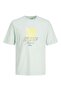 JACK JONES Printed Crew Neck Men's T-Shirt 12234242