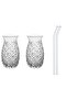 Cambu Pineapple 2 Pieces 420 Ml Cocktail Glass Soft Drink Glass Set, Glass 2 Pieces Glass Straw Transparent Gift