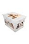 Light Box Cats and Dogs Transparent Decorative Storage and Toy Box - Set of 4 Pieces