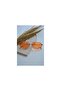 Unisex Women Men Uv400 Protected Zebra Orange Oval Rectangular New Season Sunglasses - 4