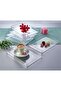 6 Piece Hard Plastic Presentation Tray Decorative Tray