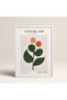 White Wooden Framed Painting Framed Poster Artistic Modern Wall Decor (Flower275-White-40X60)