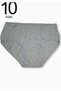 Women's Gray 10 Pack Lycra Bato Panties Elf568tccm10 New Season