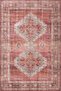 Ethnic Classic Brick Color Woven Base Digital Printed Carpet Mira 1374
