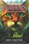 Darkness Within - Warriors. The Broken Code