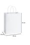 White Bag with Twist Handle 20 Cm X 10 Cm X 22 Cm (25 Pieces) (Paper Bag)