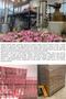 Natural Rose Soap 100 Gr - 6