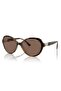 Sunglasses 5475-s W65673