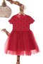Girl's Heart Polka Dot Tutu Summer Birthday Wedding Henna Special Occasion Dress - 3
